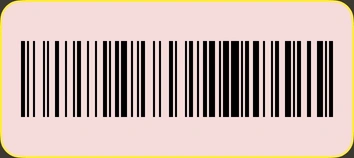 Barcode scanning preview.