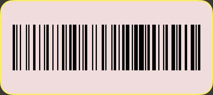 Barcode scanning preview.
